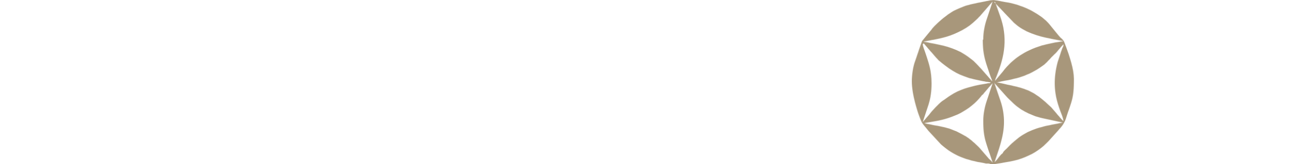 DrewnoFolk – Sklep